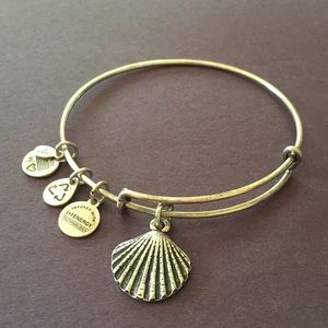 Alex and Ani Seashell Bangle Bracelet Shiny Silver